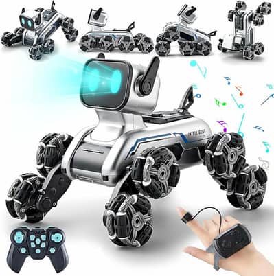 Rc Robo dog car new box pack in wholesale price