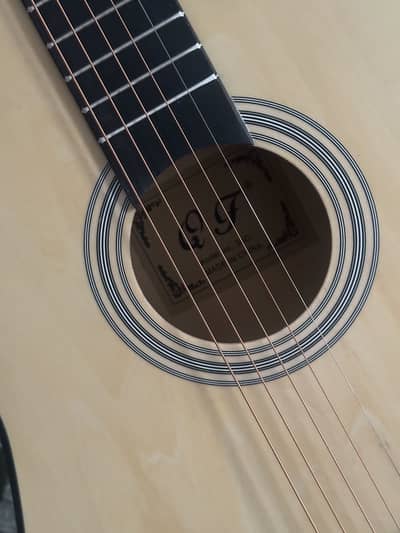 Music instumer guitar