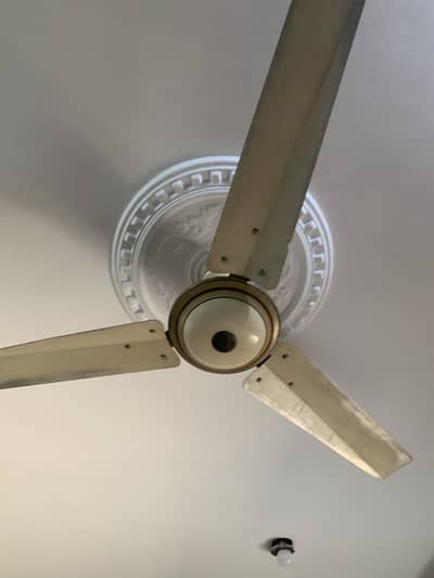 3 fans for sale same design hai