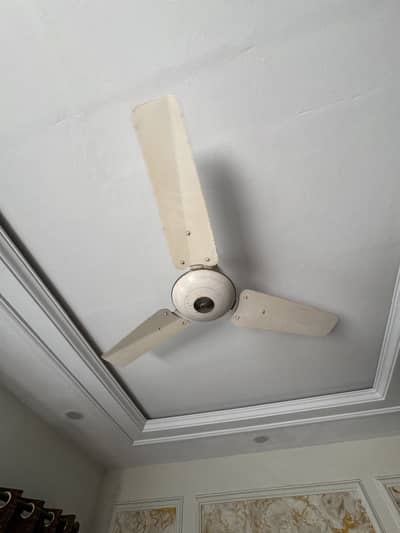 Ceiling fans available in good condition