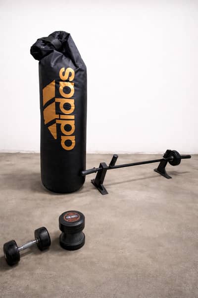 punching bad, dumbbells 8kg each, pull-up bar all in sale 10,000