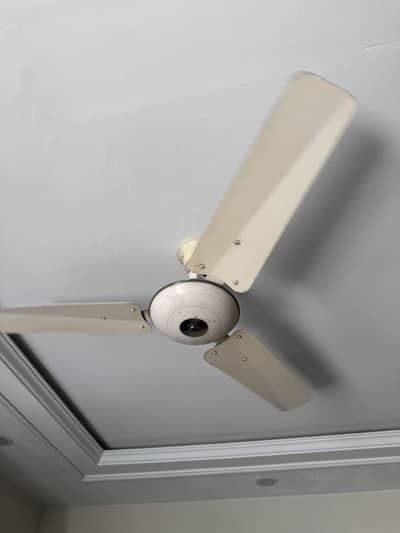 Ceiling fans available in good condition - perfectly working