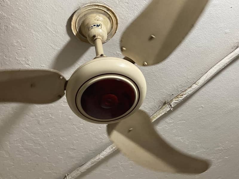 Luminar ceiling fan 0