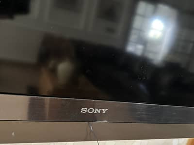 Sony HD Tv