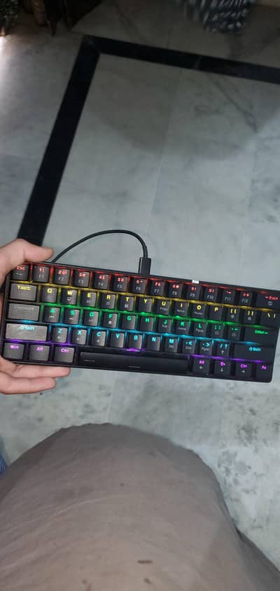 RGB LIGHTING KEYBOARD + MOUSE ON SALE INTERESTED PERSON MESS my whatsa