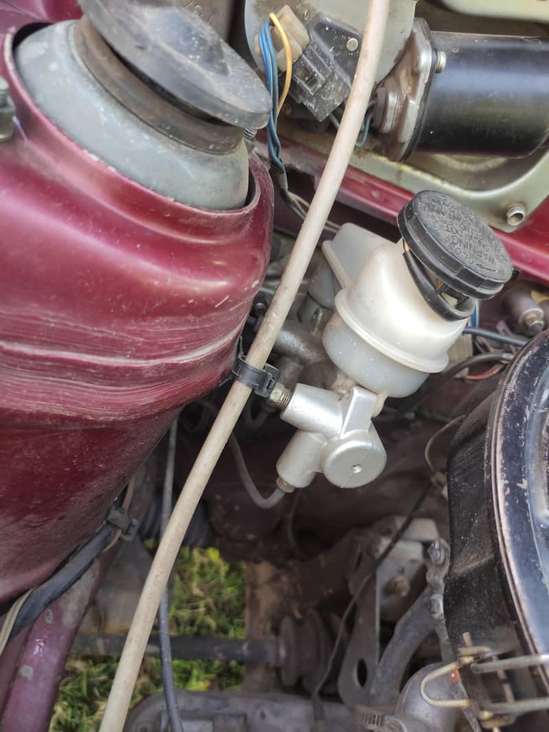 MEHRAN ANTIQUE 9
