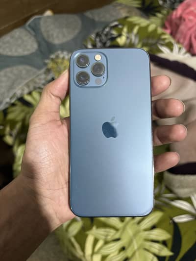 12 PRO (256GB - PTA)