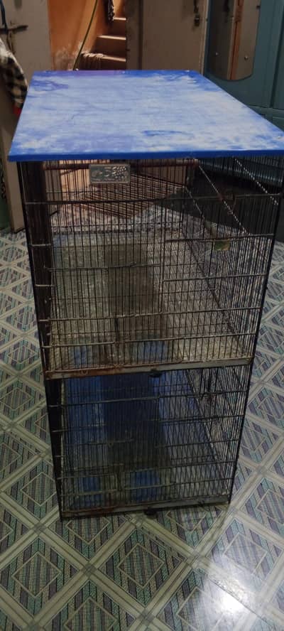 pinjra mote Taron mein moti train size 2/5.1/5