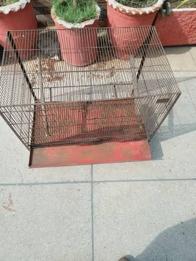 parrot cage