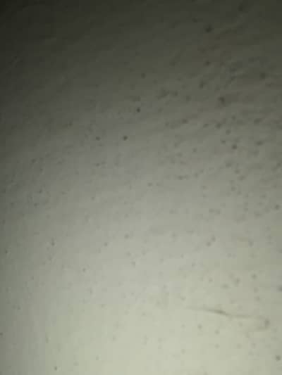 Red magic 9S pro mobile all oke hay koi falt nihen hay is min