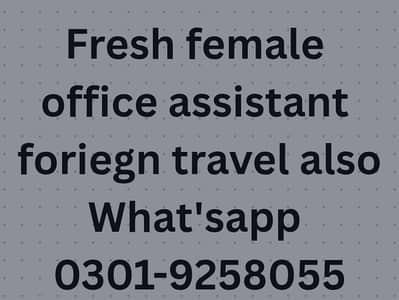 fresh female office assistant O3I9-2297766