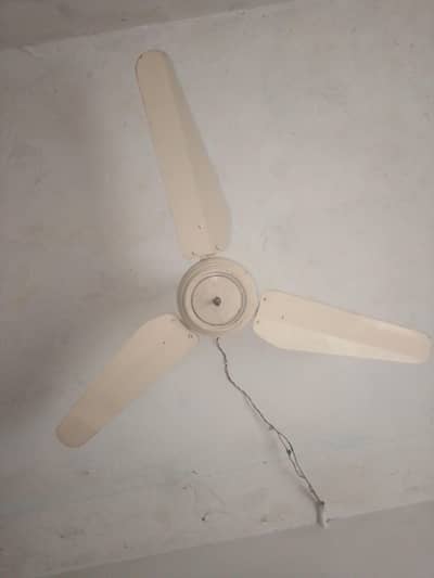 Ceiling Fan