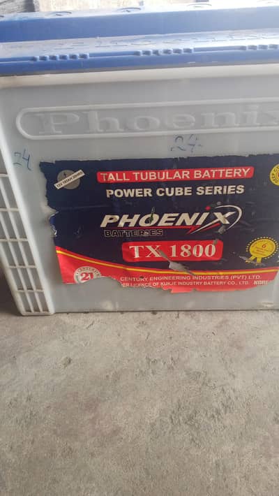 phoenix tubular battery