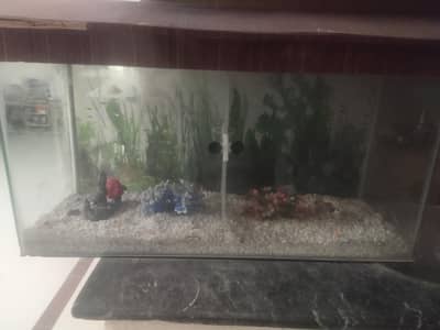 Fish aquarium with all accessories for sale price is negotiable