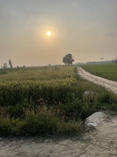 Diary agriculture land