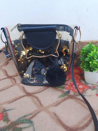 Stylish ladies bag with pouch