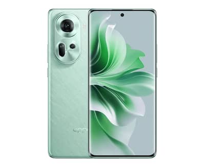 OPPO Reno 11 12+12/256 5G 0308/49000/22