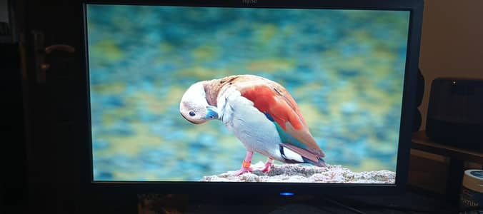 24" Full HD LED Monitor with HDMI + Power Cable