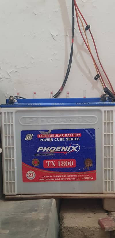 2 فینکس TX 1800 سولر بیٹریاں برائے فروخت – بہترین حالت | فوری فروخت