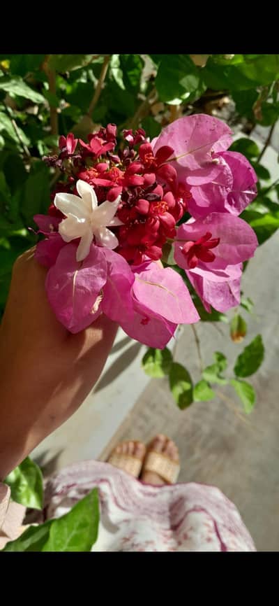 Uploading 3d models on website