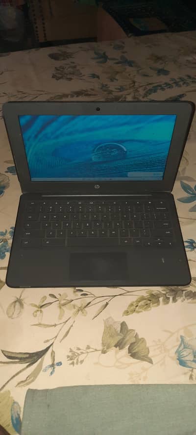 hp/ chrome book newo