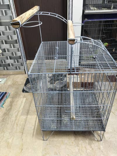 cacatoo cage