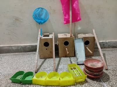 Lovebirds box & cage