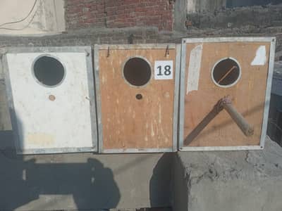 Cages + Breeding Box + feeding Bottles