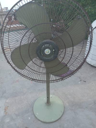 royal pedestal fan good quality