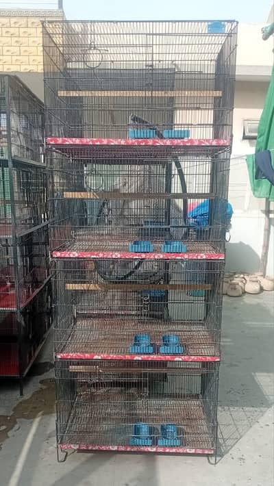 Slightly Used 2 Heavy Guage 2.5ft Front & 2ft Depth Cages available f
