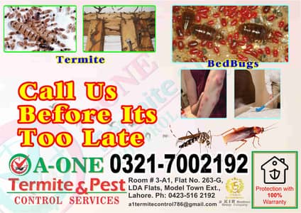 Demak Control, Termite Control, Dengue Control, Bedbugs, pest control