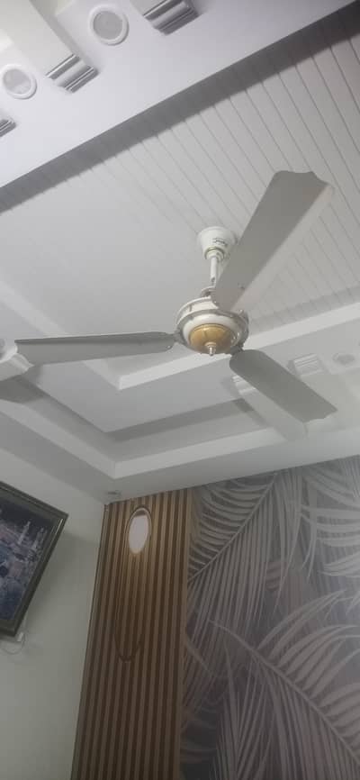 ceiling fasn for sale
