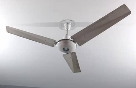Royal Ceiling Fans 4
