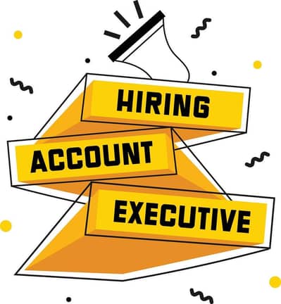 Accounts Executive