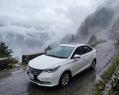 Alsvin Lumiere 2023 Genuine white