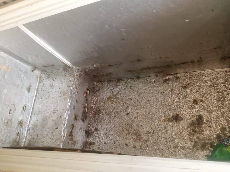 deep freezer 1