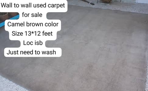 wall to wall carpet for sale