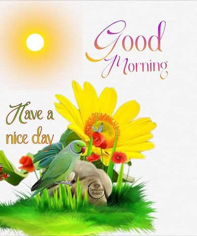 we required female receptionist & marketing staff