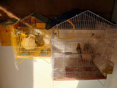 2 joint cages with 1 pair of budgie perrots