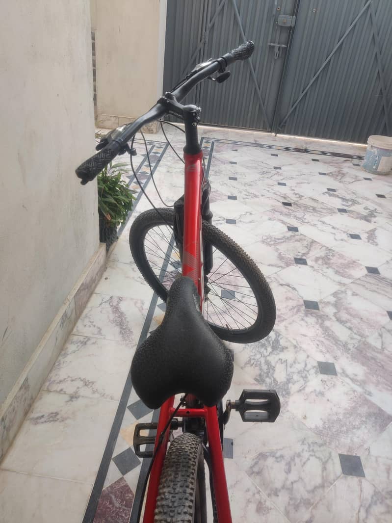 BDF bicycle 4