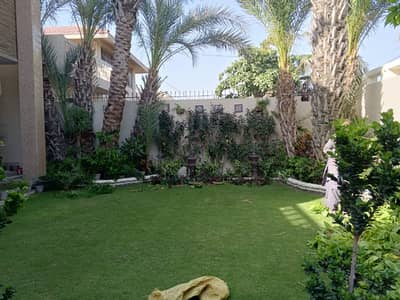 Prime Location! 500 Yards Well-Maintained Bungalow for Sale Phase 6