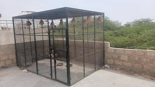 master folding cage 10x7