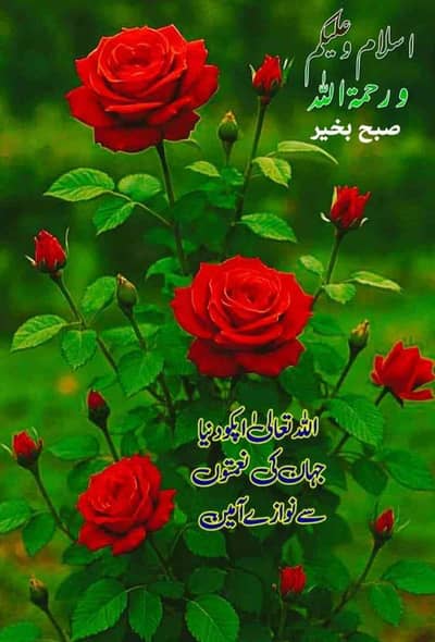 Shoaib Jabbar 