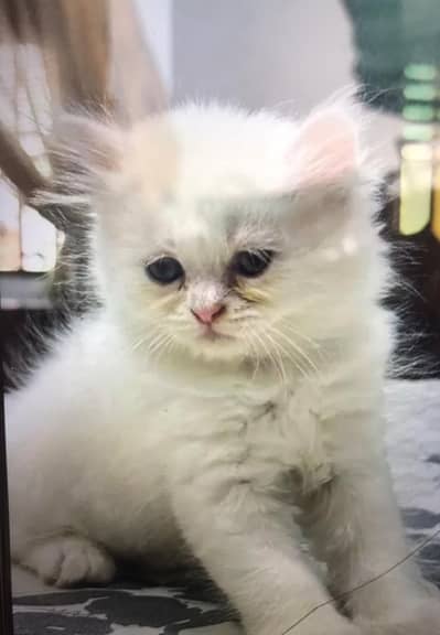 Cocktails for sell male