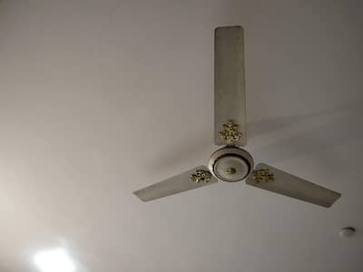 ceiling fans copper