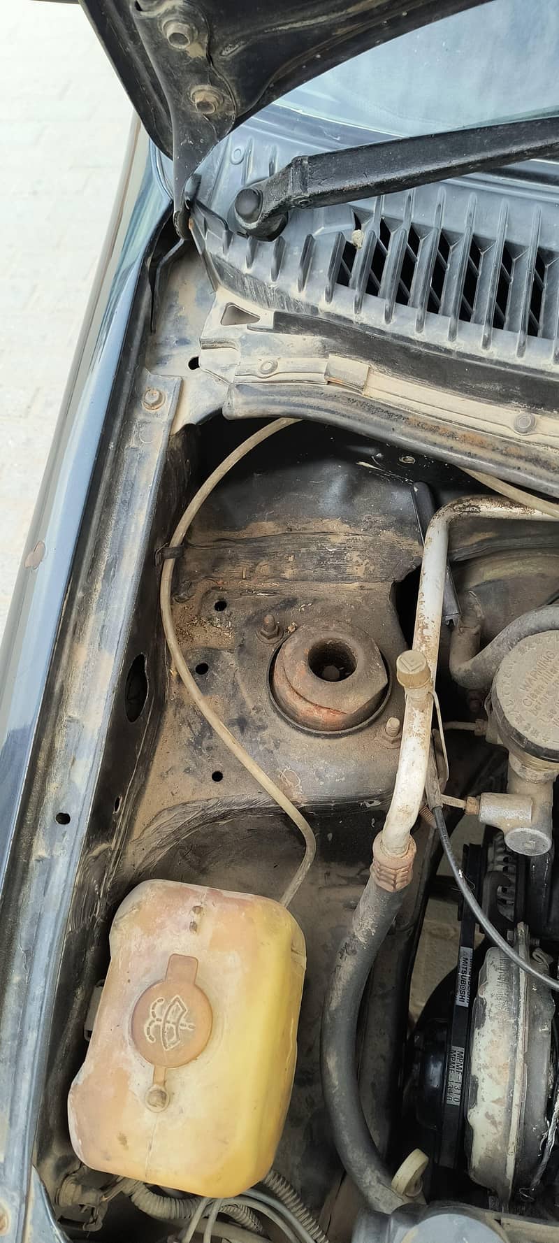 Cuore 2005 automatic 6