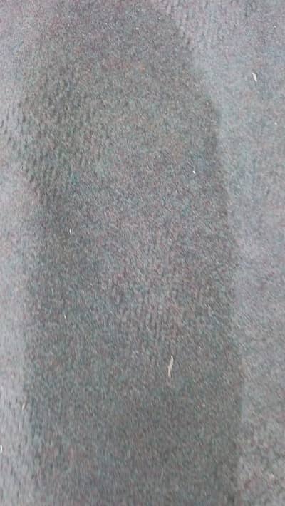 Carpet for Sale