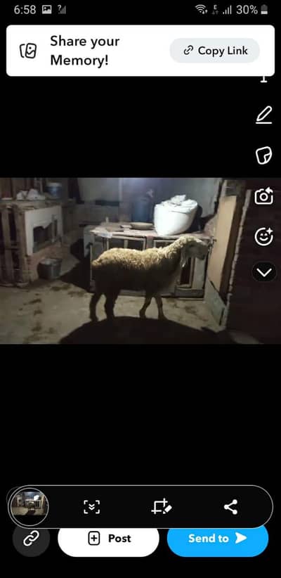 got available best quality hited round face