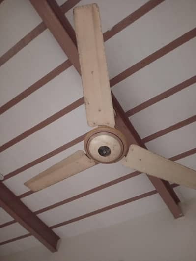 Al Ahmad fan running condition 0305--7542462