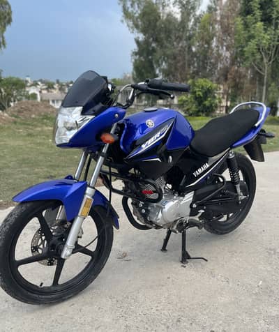 YAMAHA YBR 125 2024 Model